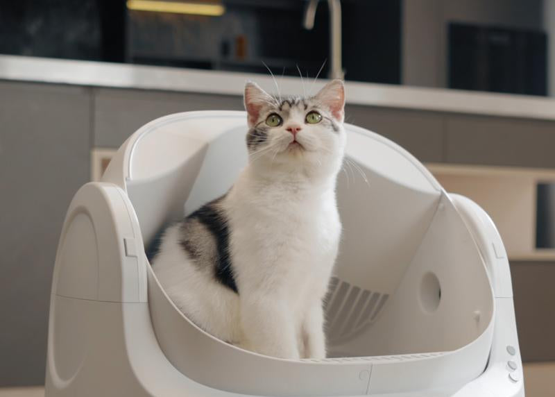 Petpivot Autoscooper 11 Open-Top Self-Cleaning Cat Litter Box,Odor-Free Waste Disposal Includes Trash Bags