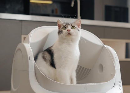 Petpivot Autoscooper 11 Open-Top Self-Cleaning Cat Litter Box，Odor-Free Waste Disposal Includes Trash Bags